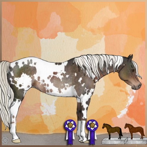Horse Color:White Spotted Liver Chestnut Mushroom Rabicano 