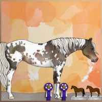 Horse Color:White Spotted Liver Chestnut Mushroom Rabicano 