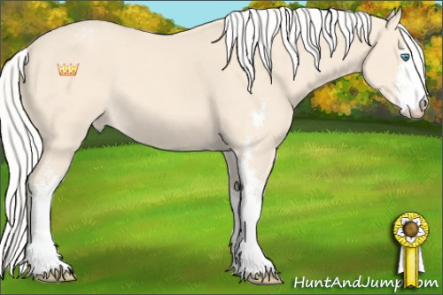 Horse Color:Silver Perlino Sabino Varnish