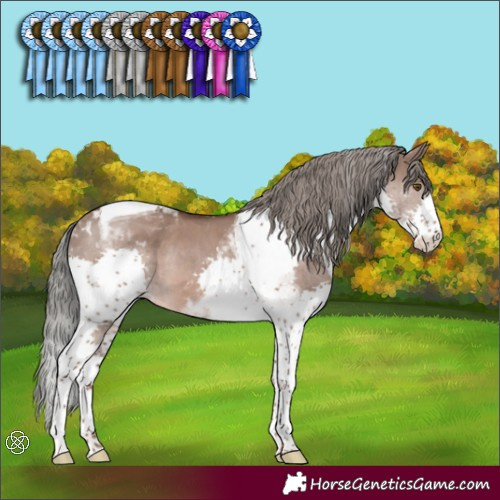 Horse Color:Liver Red Dun Mushroom Splash Tobiano 