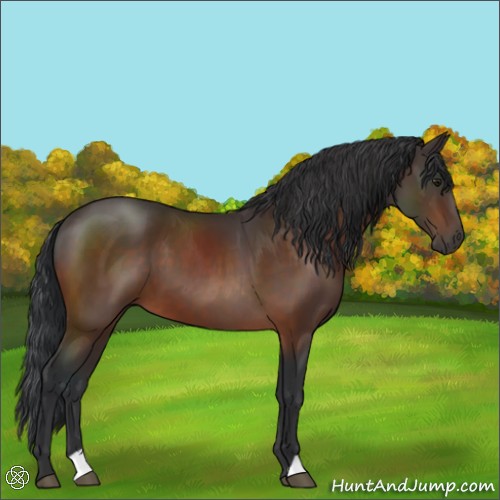 Horse Color:Brown 