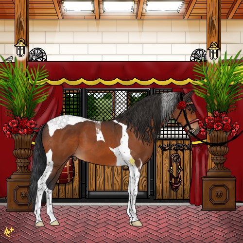Horse Color:Brown Tobiano
