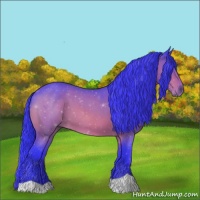 Horse Color:Watercolor Bay Roan 
