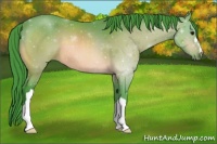 Horse Color:Watercolor Bay 