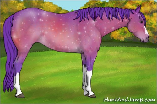 Horse Color:Watercolor Bay 