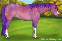Horse Color:Watercolor Bay 