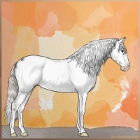 Horse Color:Silver Brown Sabino 