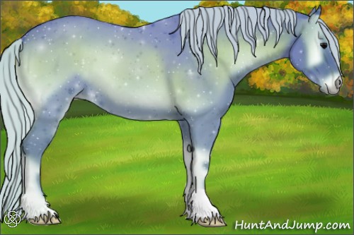 Horse Color:Watercolor Silver Blue Onyx 