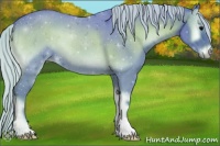 Horse Color:Watercolor Silver Blue Onyx 