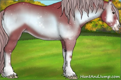 Horse Color:Watercolor Liver Red Onyx Sabino 