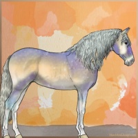 Horse Color:Watercolor Silver Brown Onyx 