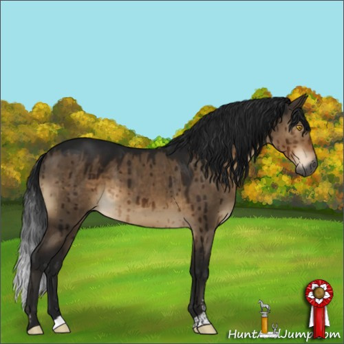 Horse Color:Gray Brown Dun Sabino Brindle