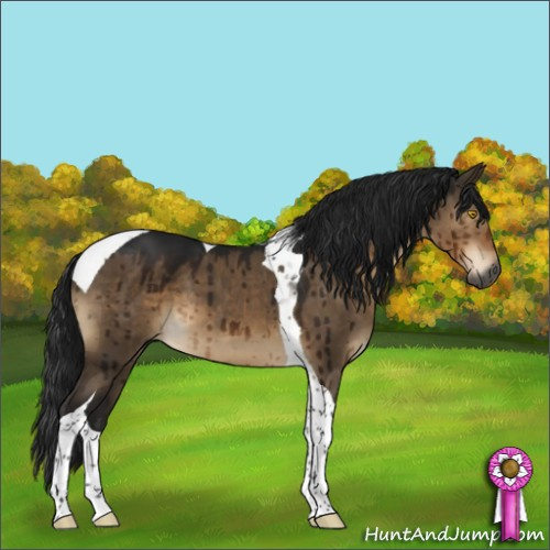 Horse Color:Gray Brown Dun Sabino Tobiano Brindle