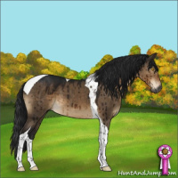 Horse Color:Gray Brown Dun Sabino Tobiano Brindle