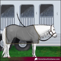 Horse Color:Gray Black Tobiano 