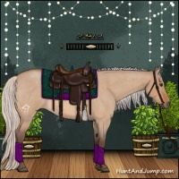 Horse Color:Silver Bay Roan Dun 