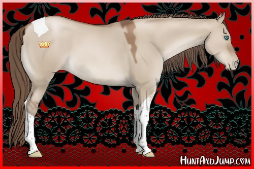 Horse Color:Grullo Pearl Tobiano