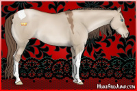 Horse Color:Grullo Pearl Tobiano