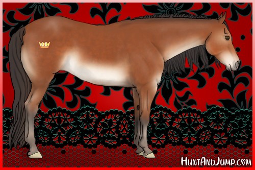 Horse Color:Brown Sabino 