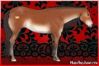 Horse Color:Brown Sabino