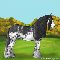 Horse Color:White Spotted Black Sabino Splash