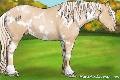 Horse Color:White Spotted Palomino Pearl 