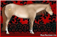 Horse Color:Smoky Black Pearl Sabino 