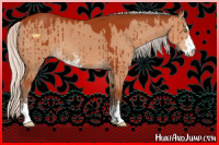 Horse Color:Silver Brown Dun Sabino Brindle 