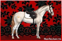 Horse Color:Amber Champagne Pearl Dun Sabino 