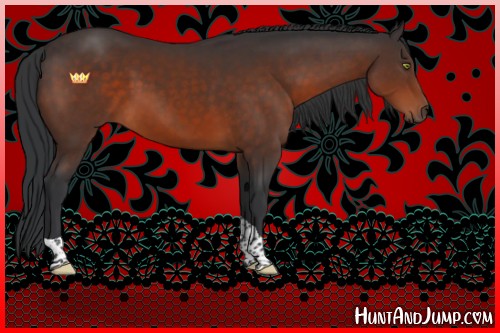 Horse Color:Brown Tobiano 