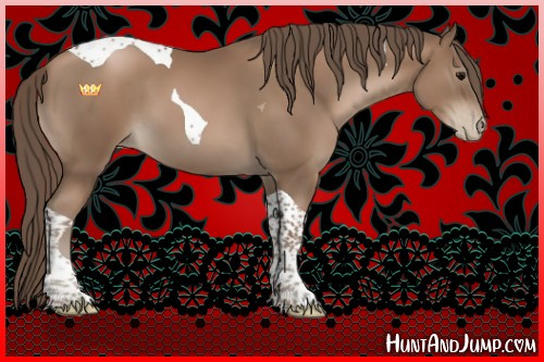 Horse Color:Black Pearl Sabino Tobiano