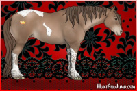 Horse Color:Black Pearl Sabino Tobiano 