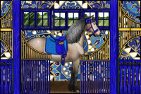 Horse Color:Gray Buckskin Dun Sabino Appaloosa 