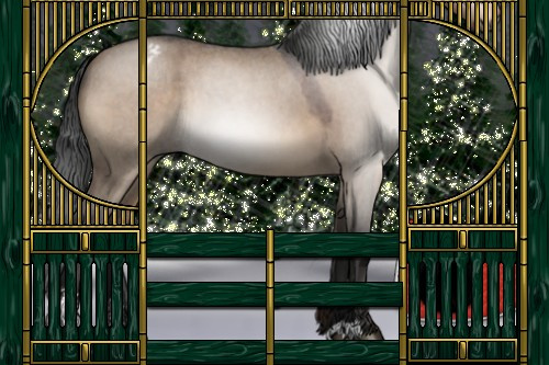 Horse Color:Gray Bay Roan Dun Sabino Appaloosa 