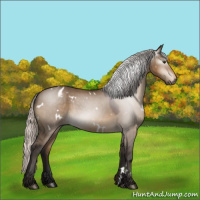 Horse Color:Gray White Spotted Silver Bay Dun Sabino Appaloosa 