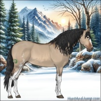 Horse Color:White Spotted Bay Dun Sabino 