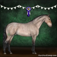 Horse Color:Bay Roan Dun 