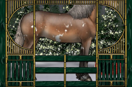 Horse Color:Gray White Spotted Silver Brown 