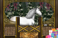 Horse Color:Gray Bay Dun 