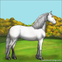 Horse Color:Gray Bay Dun