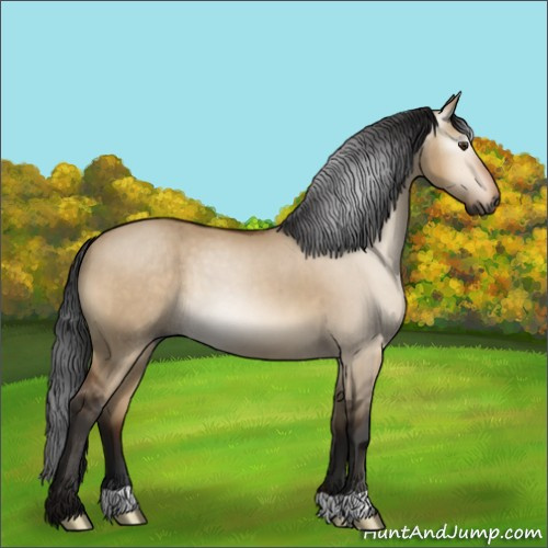 Horse Color:Gray Bay Dun