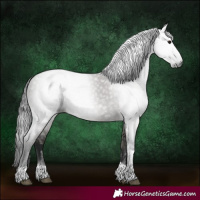 Horse Color:Gray Smoky Grullo Tobiano 