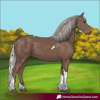 Horse Color:Silver Black Tobiano