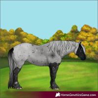 Horse Color:ERROR: UNKNOWN ANOMALY