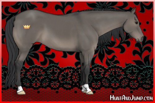 Horse Color:Grullo 