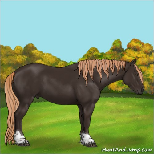 Horse Color:Liver Chestnut Tobiano 
