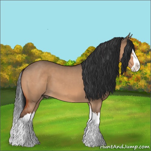 Horse Color:Bay Dun Sabino Splash