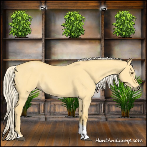 Horse Color:Palomino Dun Tobiano 