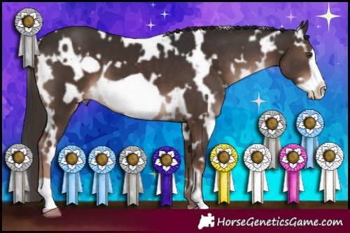 Horse Color:White Spotted Liver Chestnut Frame 