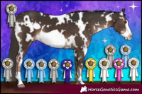 Horse Color:White Spotted Liver Chestnut Frame 